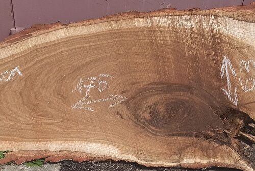 Слэб из дуба 176х63