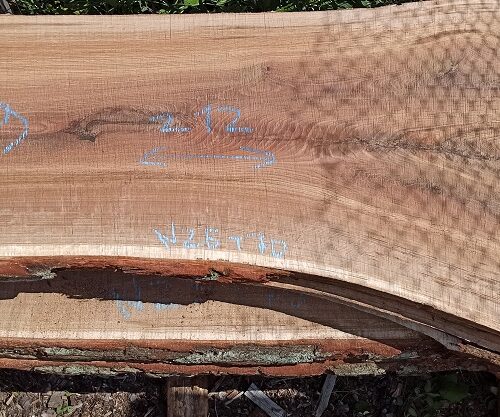 Слеб из дуба 103х59 см