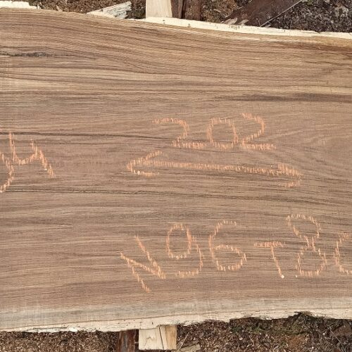 Слэб из дуба 202x94-72см