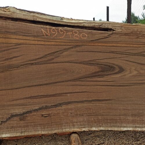 Слэб из дуба 201x121-81