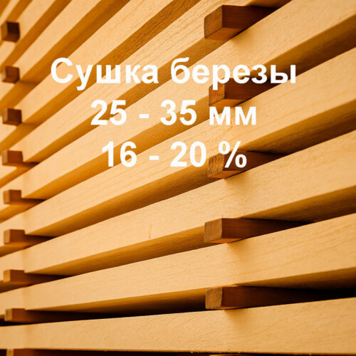 Сушка пиломатериалов из древесины береза