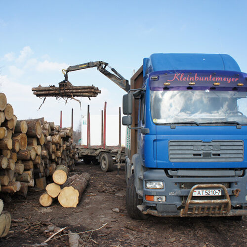 Перевозка древесины сортиментовозом