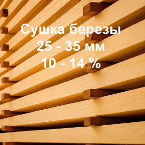 Сушка березы