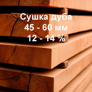 Сушка дуба, ясеня